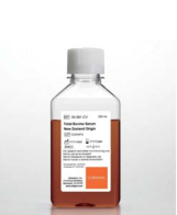 新西蘭胎牛血清